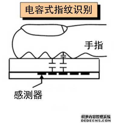 指纹识别系统